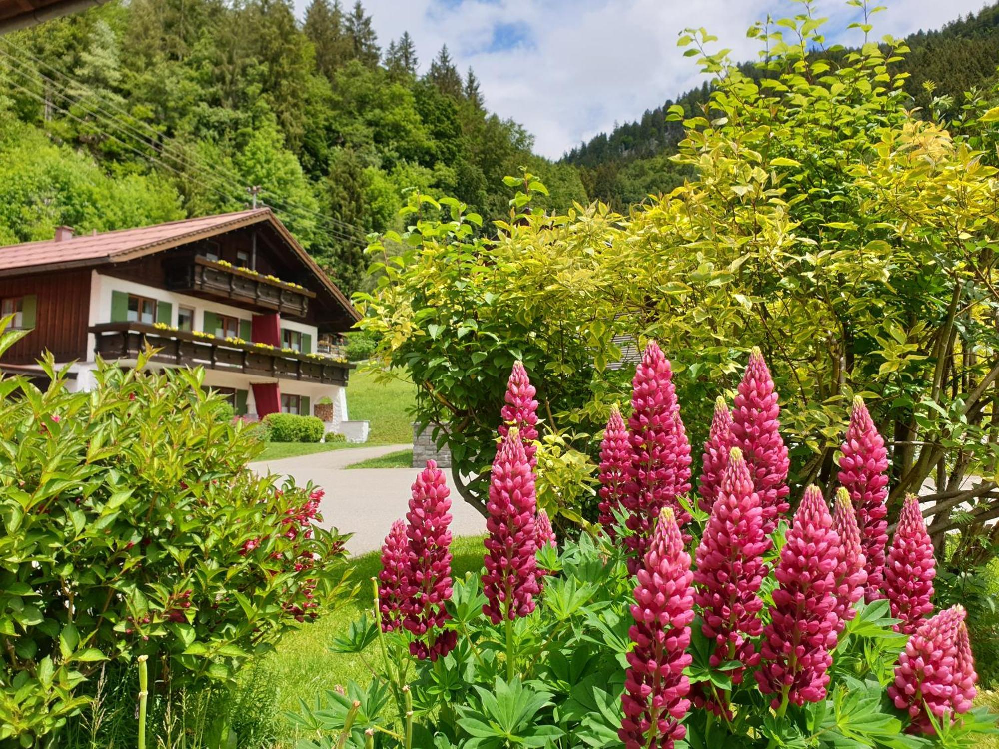 Gschwenderhaus Ferienwohnungen اوبرستدورف الغرفة الصورة